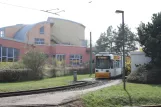 Mainz Straßenbahnlinie 50 mit Niederflurgelenkwagen 204 am Römerquelle (2009)