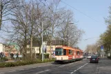 Mainz Straßenbahnlinie 51 mit Gelenkwagen 273 am Kapellenstr. / G.Cen. (2009)