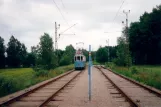 Malmköping Museumslinie mit Triebwagen 39 am Trumslagarskogen (1995)