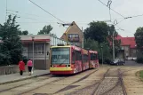 Most Straßenbahnlinie 4 mit Niederflurgelenkwagen 202 am Litvínov, Citadela (2008)