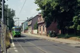 Most Straßenbahnlinie 4 mit Triebwagen 310 auf Žižkova (2008)