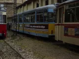 Naumburg (Saale) Gelenkwagen 202 am Naumburger Straßenbahn (2023)