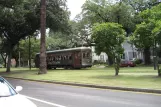 New Orleans Linie 12 St. Charles Streetcar mit Triebwagen 972 am S Claiborne (2010)