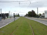 Odense auf Middelfartvej (2021)