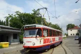 Olmütz Straßenbahnlinie 4 mit Triebwagen 147 am Pavlovičky (2011)