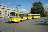 Plzeň Straßenbahnlinie 1 mit Triebwagen 219 am Slovany (2008)