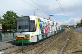 Posen Straßenbahnlinie 12 mit Gelenkwagen 410 am Serafitek (2008)