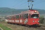 Postkarte: Bad Dürkheim Regionallinie 4 mit Gelenkwagen 1021 nahe bei Feuerberg (1989)