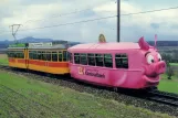 Postkarte: Basel Gelenkwagen 113 nahe bei Flüh (1990)