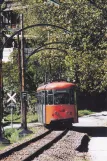 Postkarte: Bozen Regionallinie 160 mit Triebwagen 12 nahe bei Costalovara/Wolfsgruben (1989)