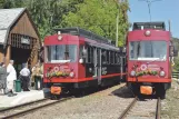 Postkarte: Bozen Regionallinie 160 mit Triebwagen 24 am Maria Himmelfahrt / Maria Assunta (2011)