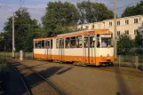 Postkarte: Braunschweig Straßenbahnlinie 5 mit Gelenkwagen 6954 am Weserstr. (1983)