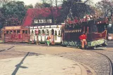 Postkarte: Bremen am Bürgerpark (1955)