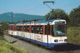 Postkarte: Darmstadt Straßenbahnlinie 8 mit Gelenkwagen 8212 nahe bei Alsbach (1990)