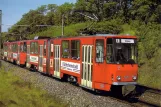 Postkarte: Frankfurt (Oder) Straßenbahnlinie 4 mit Gelenkwagen 210 nahe bei Markendorf (1991)