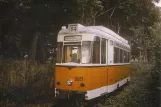 Postkarte: Hannover Hohenfelser Wald mit Triebwagen 3011 draußen Straßenbahn-Museum (1997)