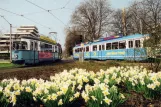 Postkarte: Heidelberg Straßenbahnlinie 24 mit Gelenkwagen 232 nahe bei Römerkreis (1975)