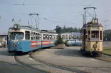 Postkarte: Kassel Straßenbahnlinie 1 mit Gelenkwagen 355 am Holländische Str. (1981)