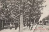 Postkarte: Kopenhagen Straßenbahnlinie 1 mit Offen Beiwagen 253 auf Frederiksberg Allé (1902)