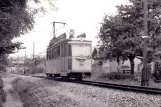 Postkarte: Neuchâtel Regionallinie 215 mit Triebwagen 83 nahe bei Colombier (1968)