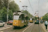 Postkarte: Rotterdam Triebwagen 109 auf Johan Huizingalaan (1981)