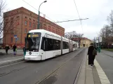 Potsdam Straßenbahnlinie 91 mit Niederflurgelenkwagen 437 am Luisenplatz-Süd/Park Sanssouci (2018)