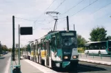 Potsdam Straßenbahnlinie 92 mit Gelenkwagen 143 am Campus Fachhochsschule (2004)