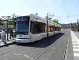 Potsdam Straßenbahnlinie 92 mit Niederflurgelenkwagen 433 am S Hauptbahnhof (2024)