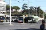 Rom Straßenbahnlinie 19 mit Niederflurgelenkwagen 9012 am Verano (2009)