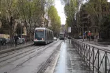 Rom Straßenbahnlinie 8 mit Niederflurgelenkwagen 9231 am Trastevere (2010)