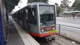 San Francisco Straßenbahnlinie M Ocean View mit Gelenkwagen 1415 am 19th Ave & Holloway Ave (2019)