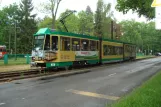 Schöneiche bei Berlin Straßenbahnlinie 88 mit Gelenkwagen 26 auf Dorfstr. (2013)