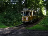 Skjoldenæsholm Normalspur mit Triebwagen 587 nahe bei Skovkanten (2024)