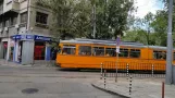 Sofia Straßenbahnlinie 22 mit Gelenkwagen 4239, Seitenansicht Yanko Sakuzov Boulevard (2014)