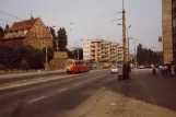 Stettin Touristenbahn Zielone mit Gelenkwagen 619 auf Wyszyńskiego (1984)