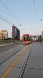 Toronto Straßenbahnlinie 501 Queen mit Niederflurgelenkwagen 4410nah Queen St E at Carroll St (2024)