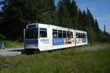 Trondheim Straßenbahnlinie 9, Gråkallbanen mit Gelenkwagen 93 am Lian (2009)