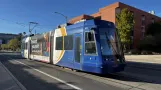 Tucson Sun Link mit Niederflurgelenkwagen 101 auf e 2nd street (2024)