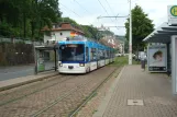 Würzburg Straßenbahnlinie 5 mit Niederflurgelenkwagen 251 am Ruderzentrum (2014)