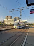 Zürich Regionallinie 12 mit Niederflurgelenkwagen 3080 nahe bei Glattpark (2023)