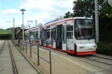 Zwickau Straßenbahnlinie 3 mit Niederflurgelenkwagen 905 am Neuplanitz (2015)