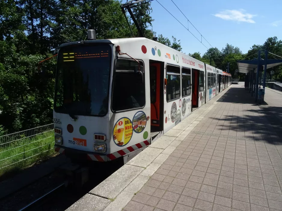 Bielefeld Straßenbahnlinie 3 mit Gelenkwagen 556 am Stieghorst (2020)