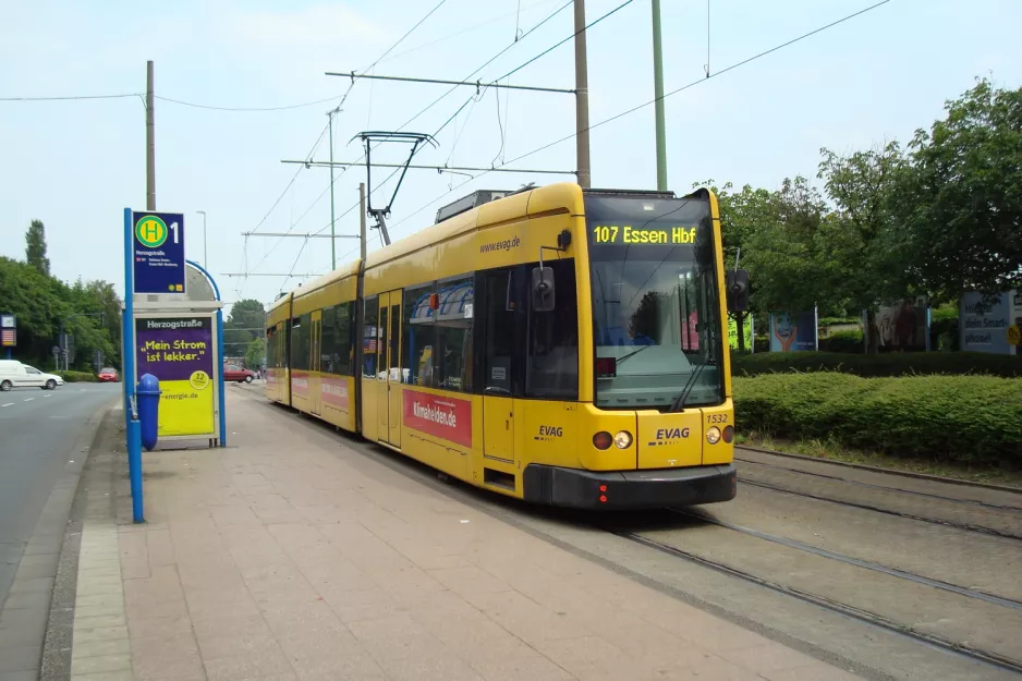 Essen Straßenbahnlinie 107 mit Niederflurgelenkwagen 1532 am Herzogstr. (2010)