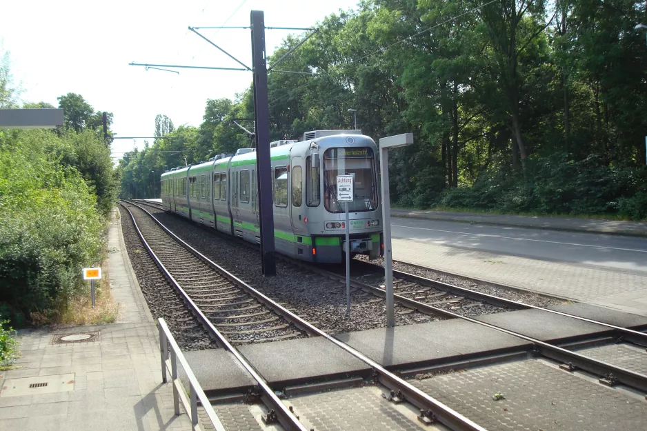 Hannover Straßenbahnlinie 7 mit Gelenkwagen 2548 auf Wallensteinstraße (2014)