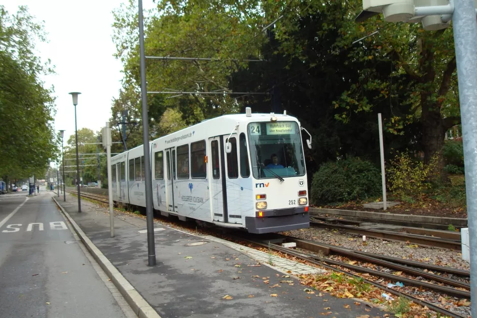 Heidelberg Straßenbahnlinie 24 mit Gelenkwagen 252 nahe bei Stadtwerke (2009)