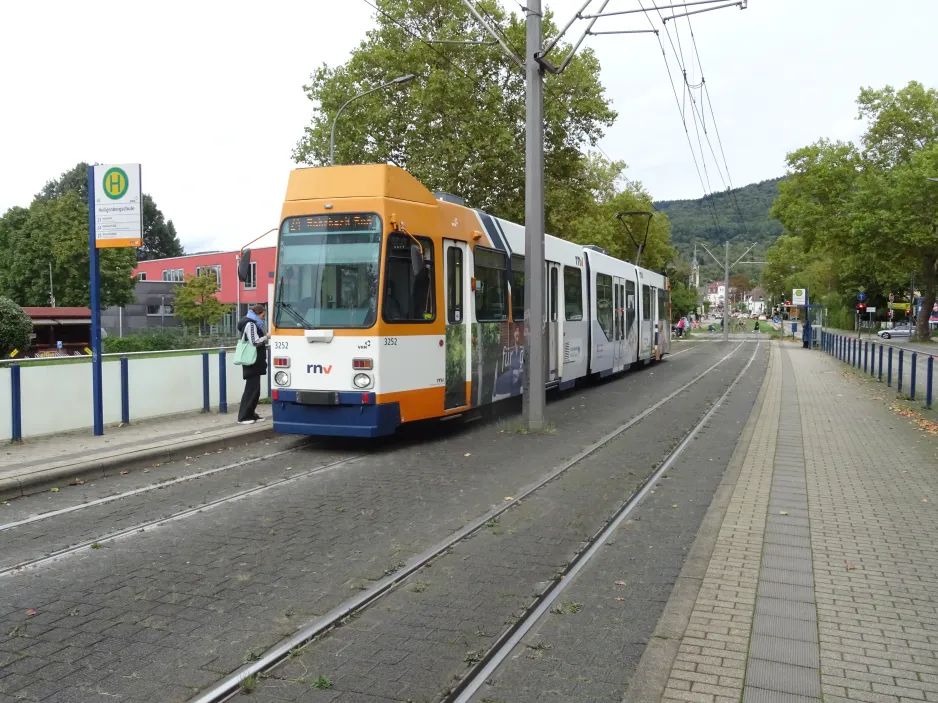 Heidelberg Straßenbahnlinie 24 mit Gelenkwagen 3252 am Heiligenbergschule (2024)