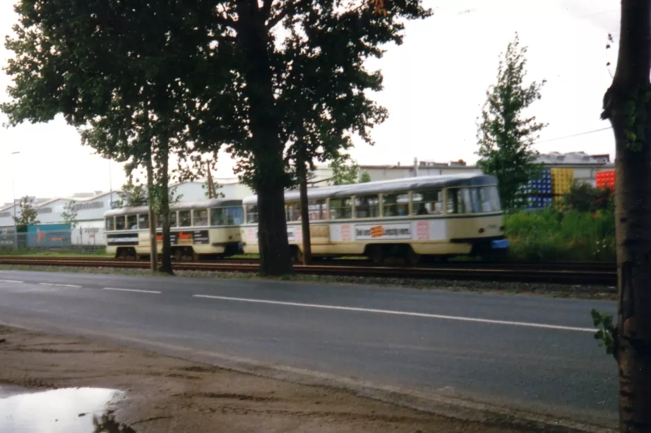 Leipzig Zusätzliche Linie 3E  auf Bautzner Str. (1993)