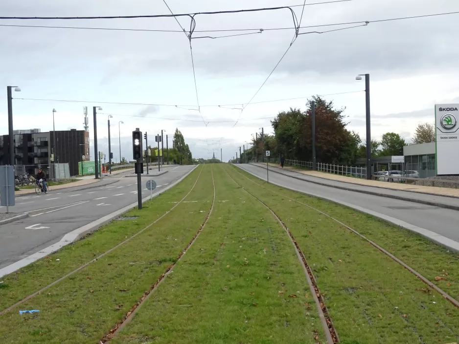 Odense auf Middelfartvej (2021)