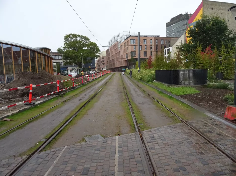 Odense nahe bei Albani Torv (2021)