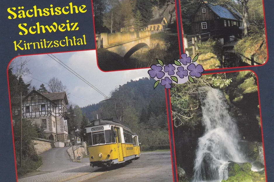 Postkarte: Bad Schandau Kirnitzschtal 241 mit Triebwagen 3 am Neumannmühle (2000)